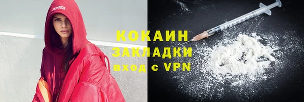 прущие грибы Вязьма