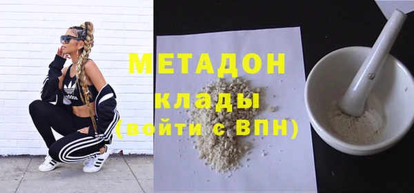 прущие грибы Вязьма