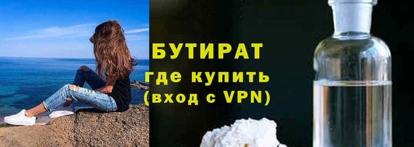 индика Вязники