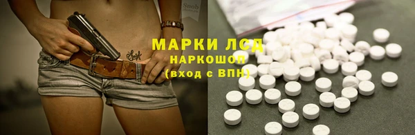 индика Вязники