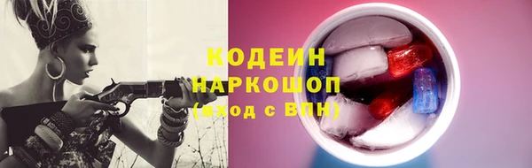 ПСИЛОЦИБИНОВЫЕ ГРИБЫ Горняк