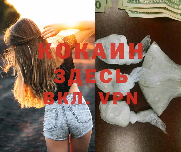 индика Вязники