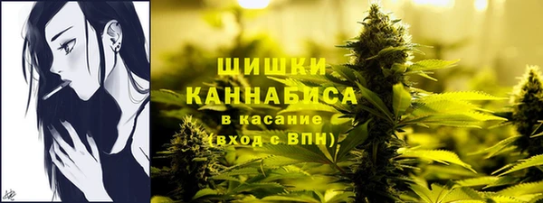 ПСИЛОЦИБИНОВЫЕ ГРИБЫ Горняк
