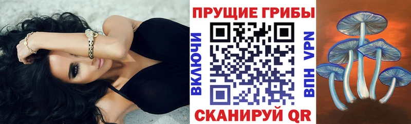 Псилоцибиновые грибы мухоморы  Чехов 